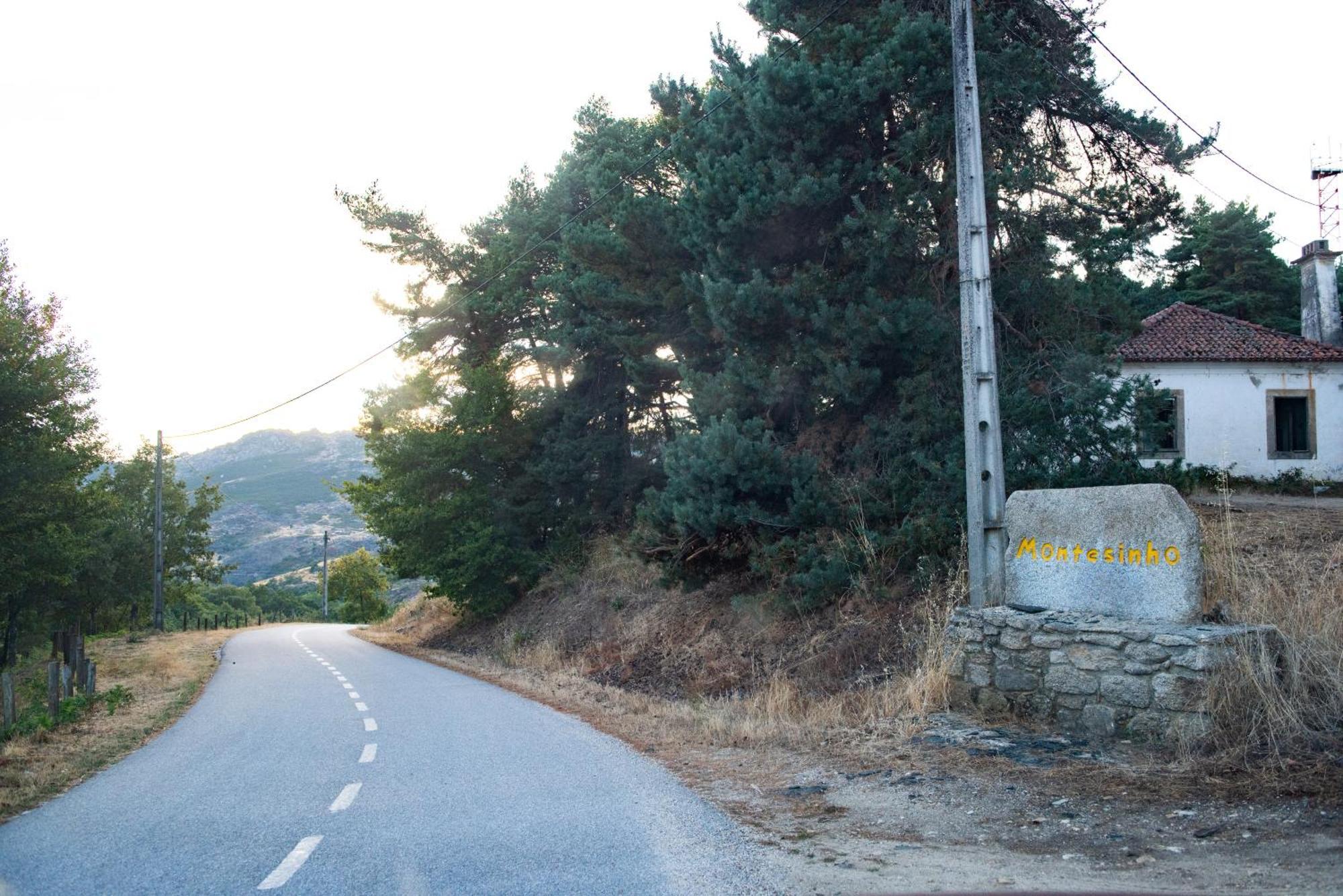 Montezinho A Lagosta Perdida المظهر الخارجي الصورة