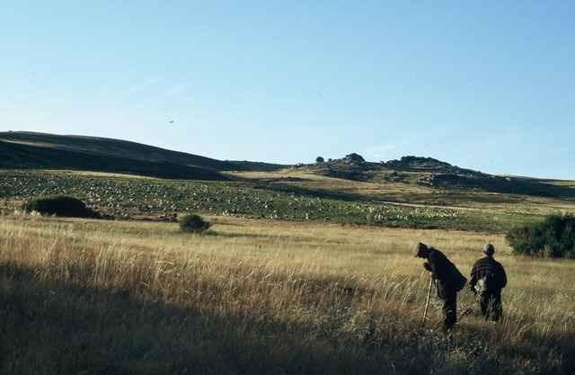 Montezinho A Lagosta Perdida المظهر الخارجي الصورة