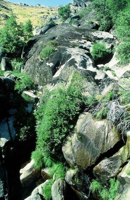 Montezinho A Lagosta Perdida المظهر الخارجي الصورة