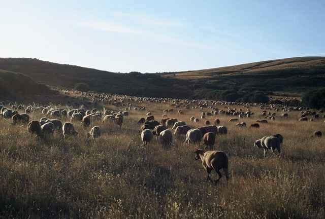 Montezinho A Lagosta Perdida المظهر الخارجي الصورة