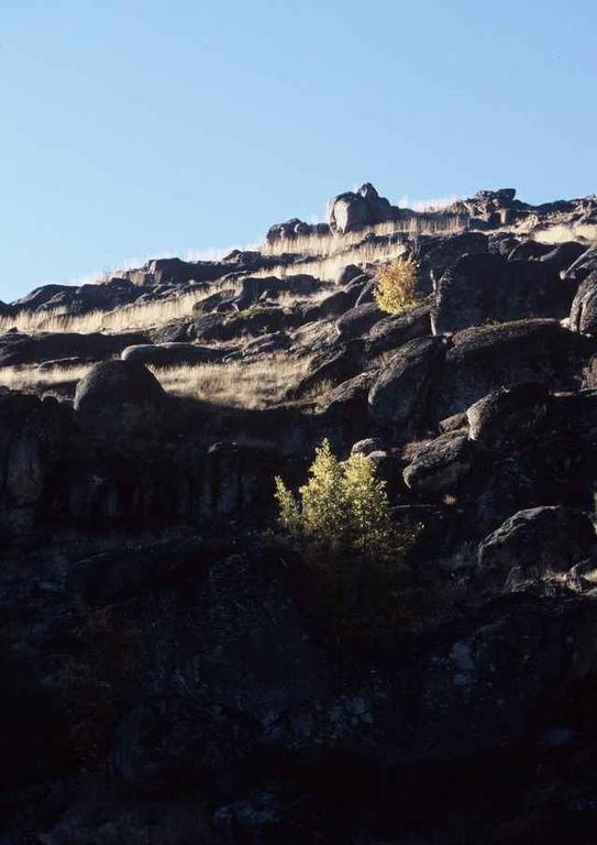 Montezinho A Lagosta Perdida المظهر الخارجي الصورة