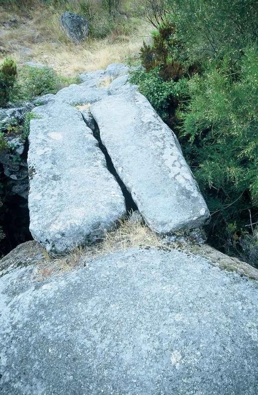 Montezinho A Lagosta Perdida المظهر الخارجي الصورة