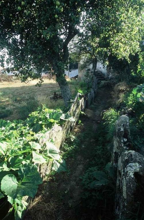 Montezinho A Lagosta Perdida المظهر الخارجي الصورة